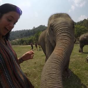 Meet your Posher, Abby